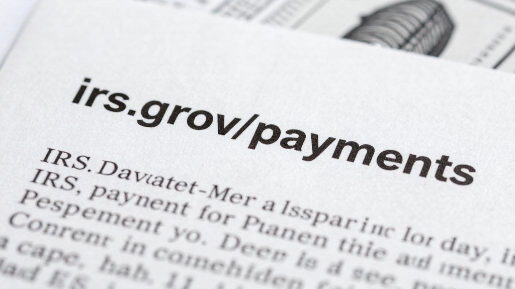 How much does an IRS payment plan cost?